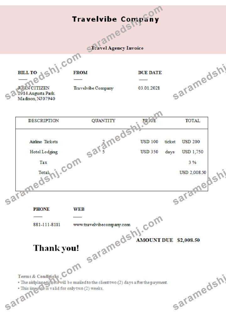 USA Travelvibe Company invoice